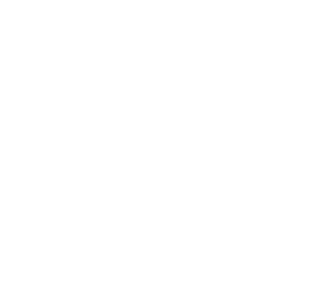 Logo Fairn Green